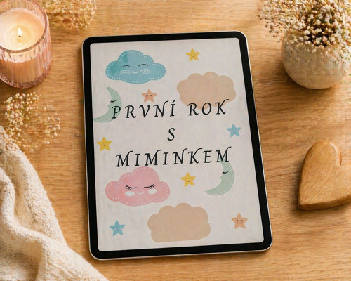 První rok s miminkem – vzpomínkový diář PDF