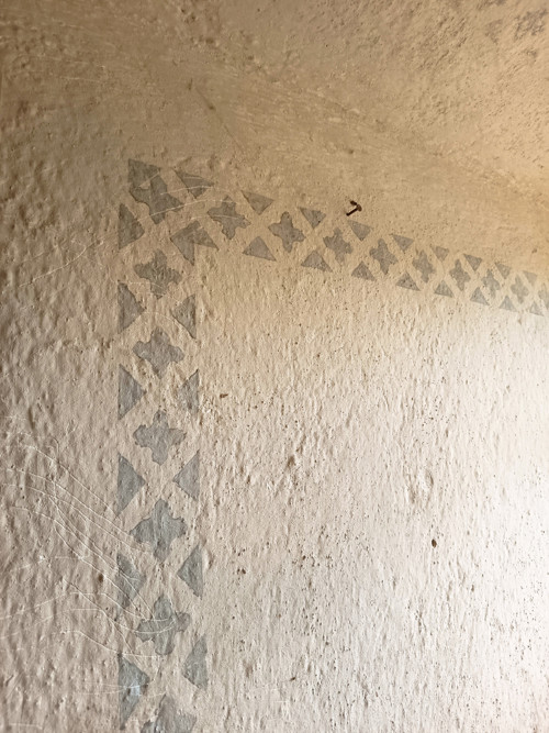 Pohanková žíněnka malá — foto 1