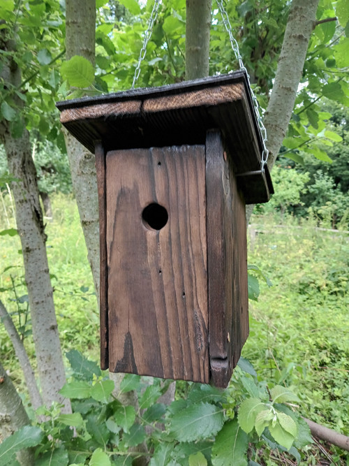 Ptačí budky