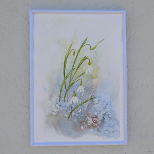 Akvarel - sněženky ve sněhu - 21 x 29 cm