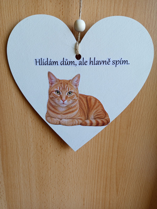 Kočičí cedulka - Hlídám dům, ale hlavně spím