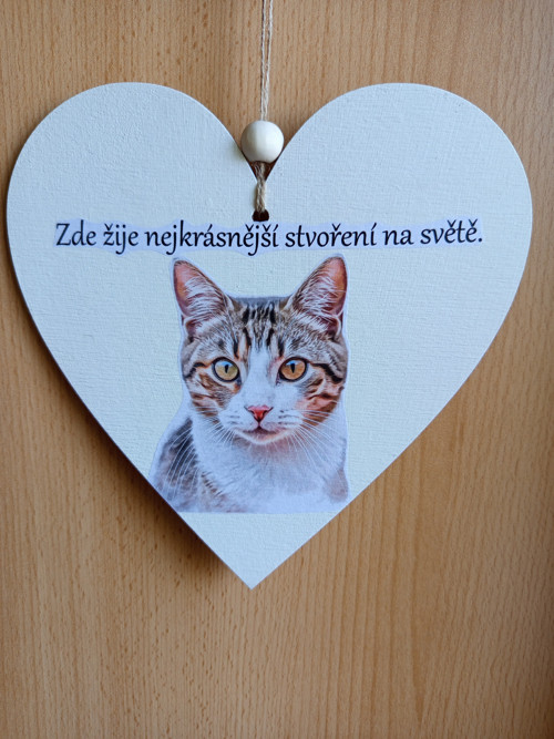 Nejkrásnější stvoření! – Kočičí dřevěné srdíčko