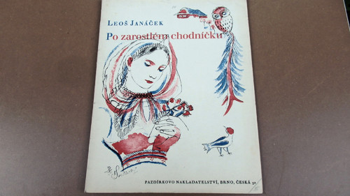 Po zarosrlém chodníčku