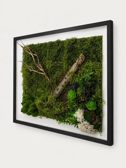 Srdce lesa 70x52cm