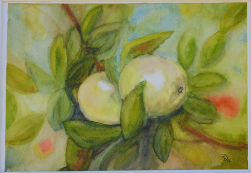 Akvarel - Jablíčka - 21 x 29 cm
