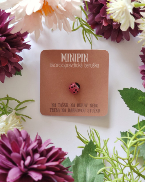 Purpurová skoroopravdická beruška | minipin