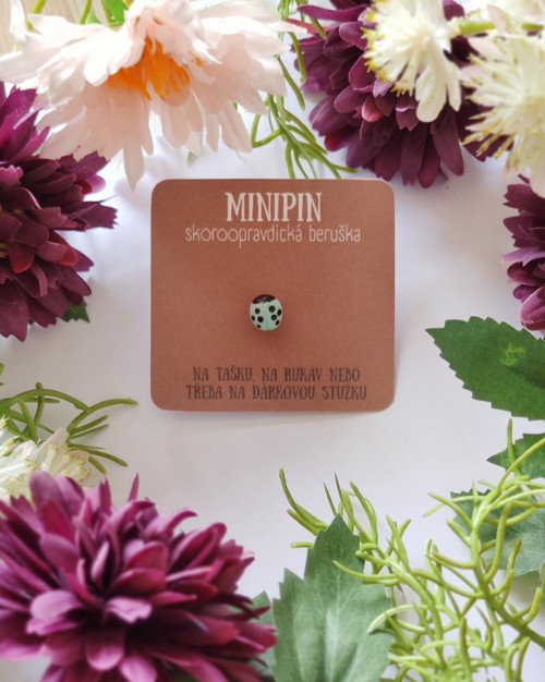 Mátová skoroopravdická beruška | minipin
