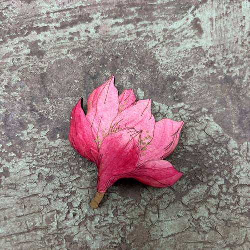 Magnolie