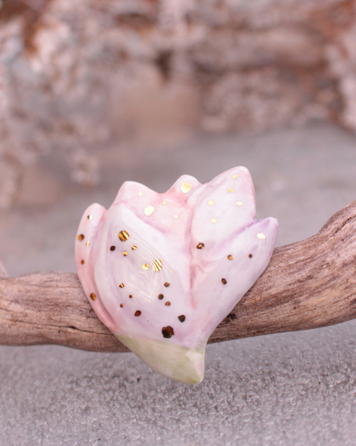Magnolie