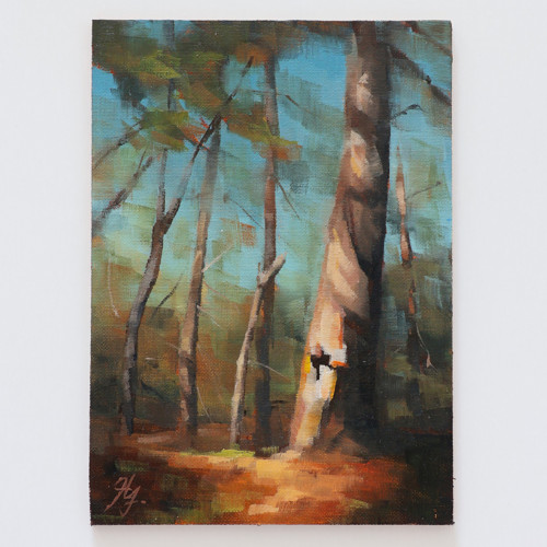 Studie krajiny č. 5 | 13 × 18 cm