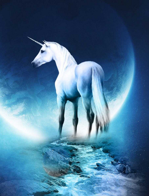 Panel bavlněný 21x16 cm: Jednorožec - Unicorn