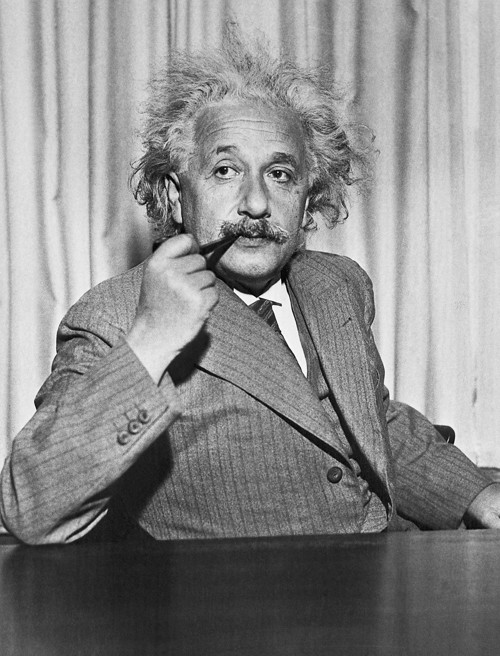Panel bavlněný 21x16 cm: Albert Einstein