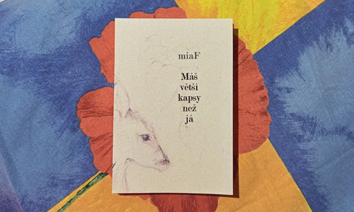 Kniha básní miaF: Máš větší kapsy než já