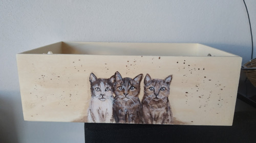 Úložný box, kočky