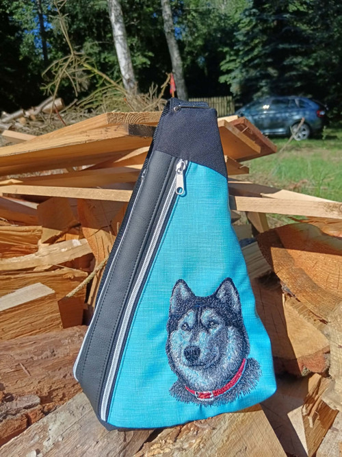 Ledvinkobatoh - Husky na tyrkysu