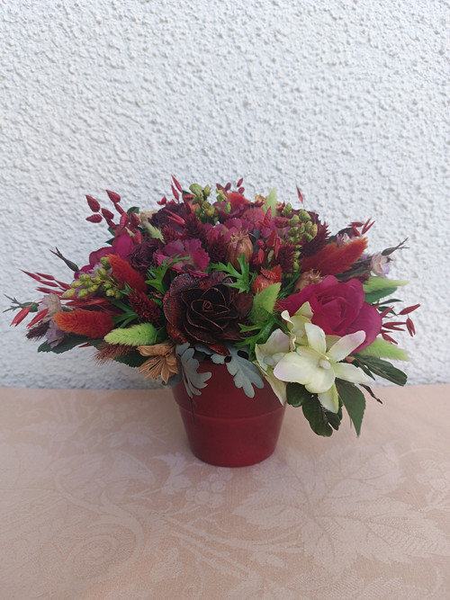 V bordó květináčku - s bílou orchideí