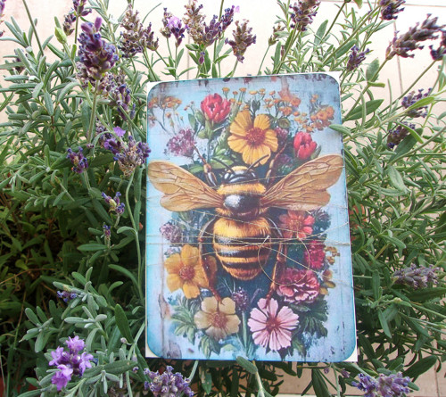 The Bee — foto 1