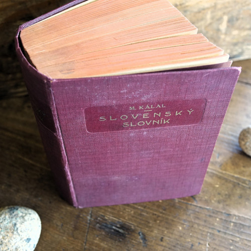Slovenský slovník z literatúry aj nárečí