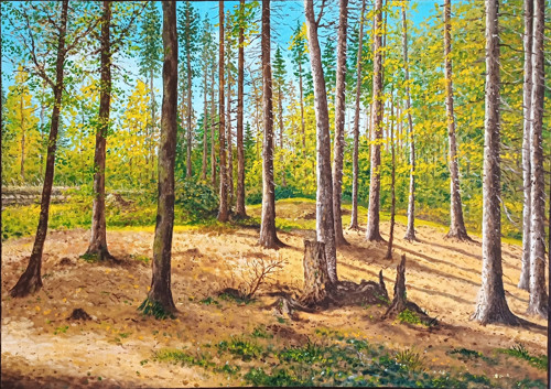 Obraz " Šumava, les nad rybníkem Žabák "