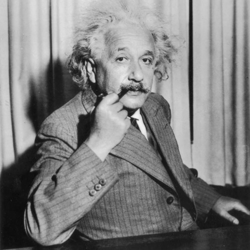 Panel z kočárkoviny 20x20 cm: Albert Einstein