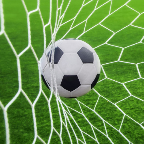 Panel z kočárkoviny 20x20 cm: Fotbal - gól!