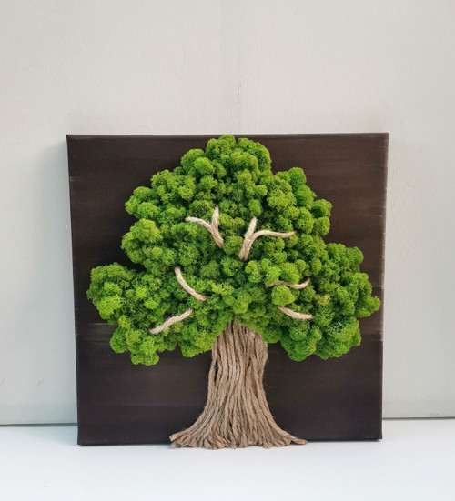 Živý mechový obraz, strom 40x40cm