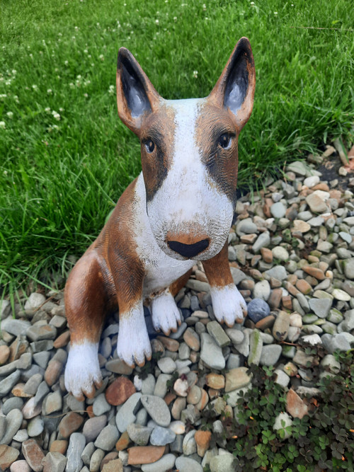 Bulterier