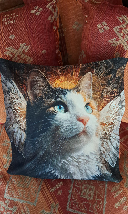 Kočičí anděl