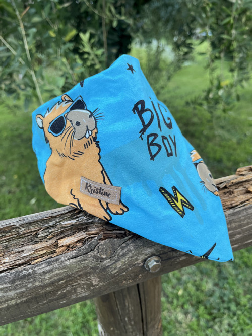 Šátek pro psy - Dolce Capy - velikost M