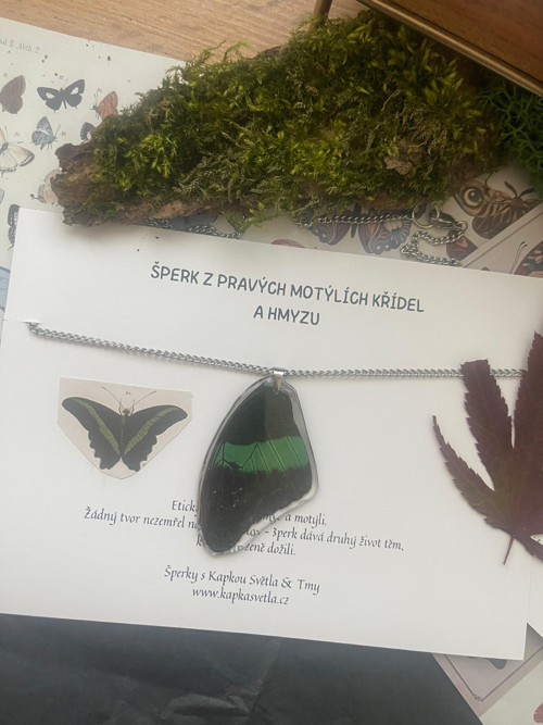 Šperk z křídla Papilio palinurus