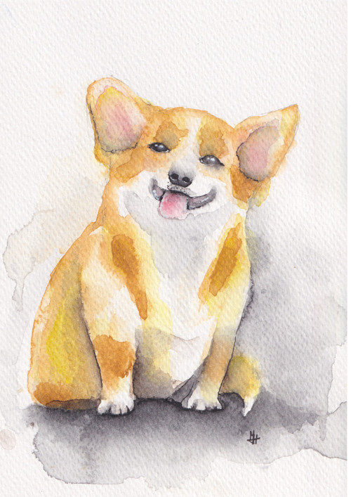 Corgi