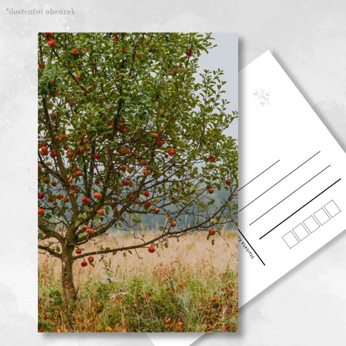 Pohlednice: Malus