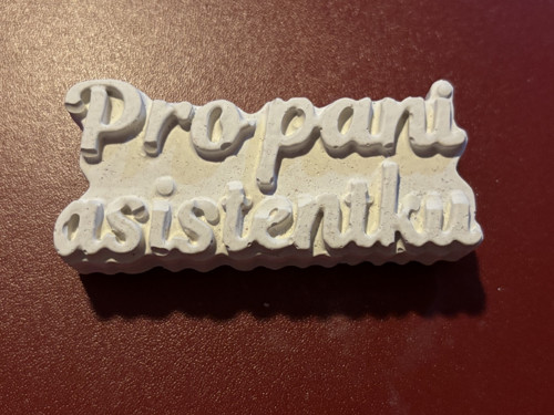 Sádrový odlitek - pro paní asistentku — foto 1