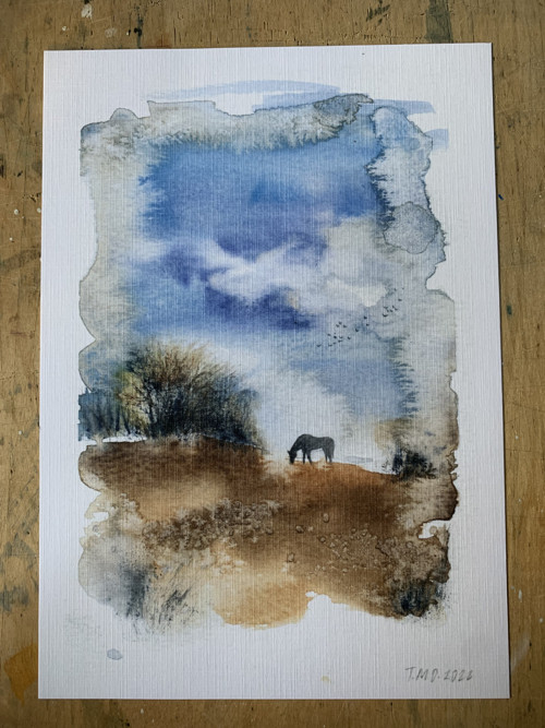 Koník na louce print A5
