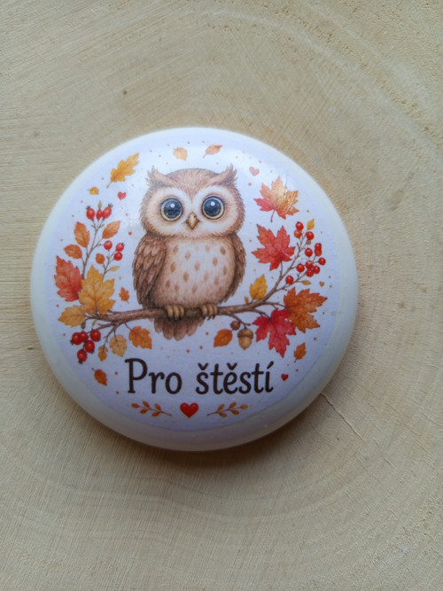 Moudrá sovička – Pro štěstí