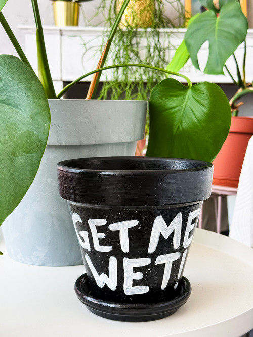 Květináč GET ME WET! – vel. S