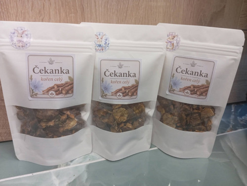 Kořen čekanky