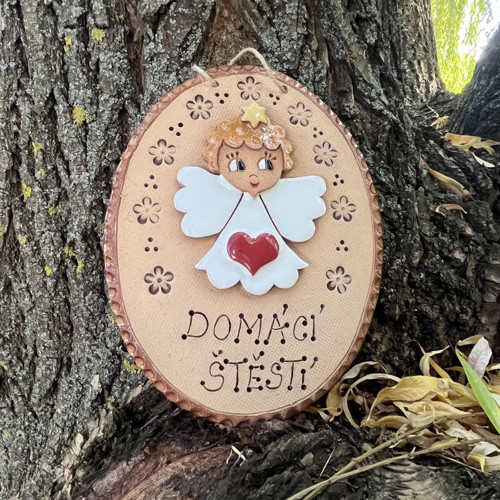 Cedulka anděl - domácí štěstí