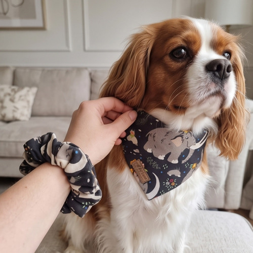 Set pro pejska a pro Tebe: Bandana a Scrunchie — foto 1