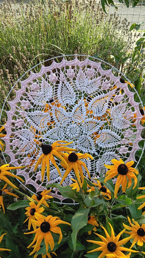 Mandala Sienkiewiczówka
