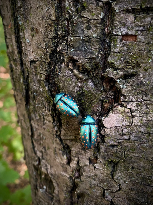 Beetles