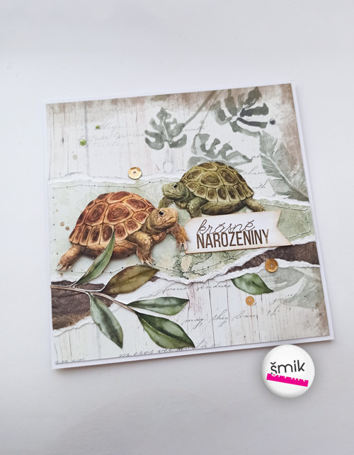 Želvy přejí krásné narozeniny "Home Sweet Home"