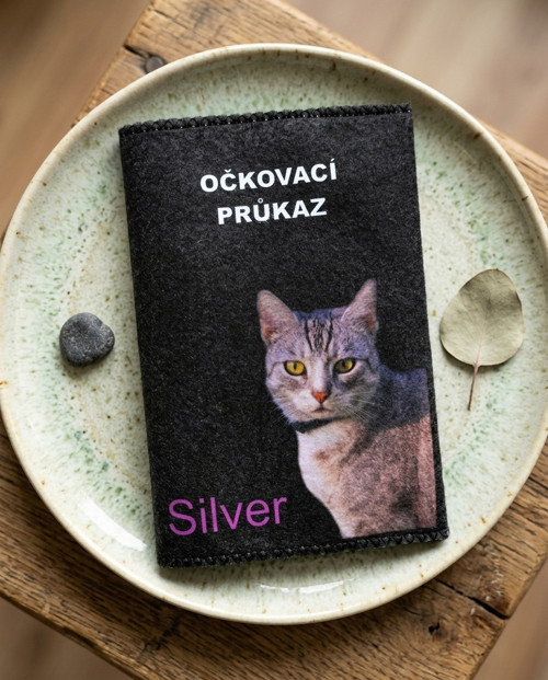 Obal na očkovací průkaz se jménem a fotkou