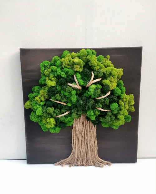 Živý mechový obraz, strom 40x40cm