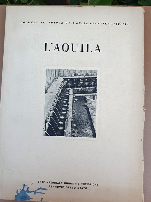 L’aquila — foto 1