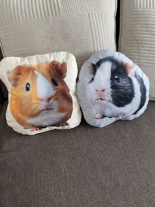 Polštář 3D - Morče