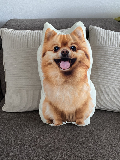 Polštář 3D Polštářek 3D - Pomeranian - pes — foto 1