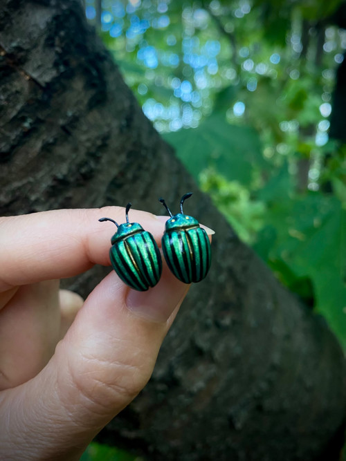 Beetles