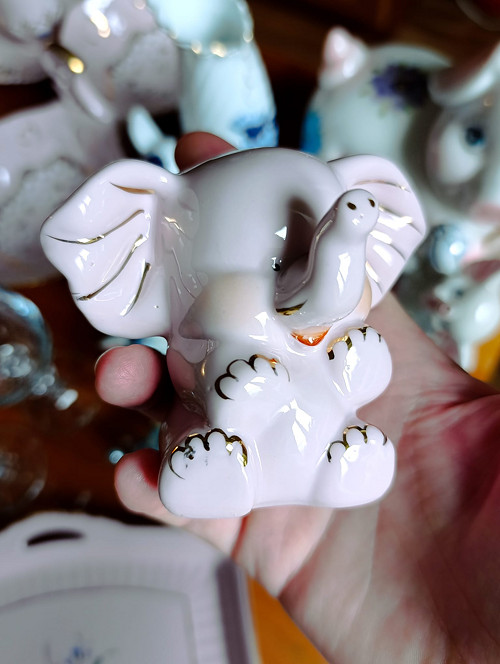 Slon z růžového porcelánu, odběr Brno