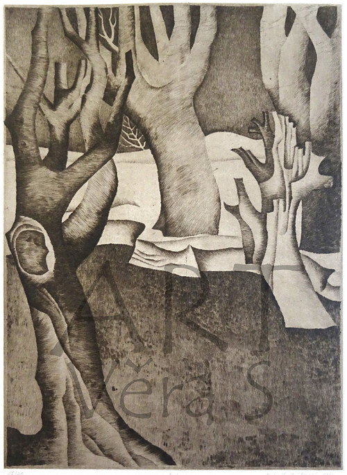 Ostrov